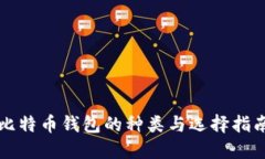 比特币钱包的种类与选择
