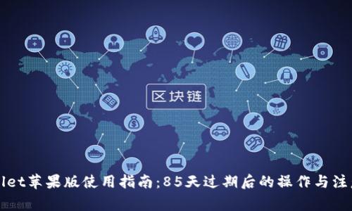 TPWallet苹果版使用指南：85天过期后的操作与注意事项