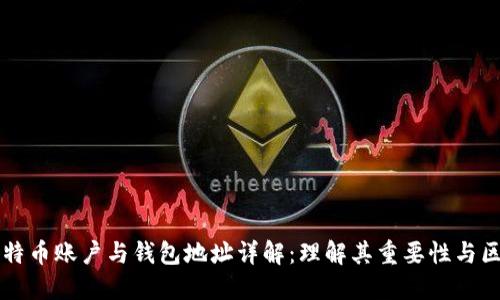 比特币账户与钱包地址详解：理解其重要性与区别