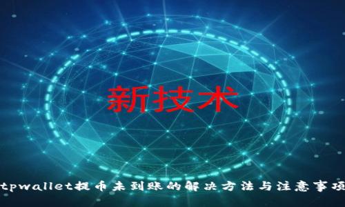 tpwallet提币未到账的解决方法与注意事项