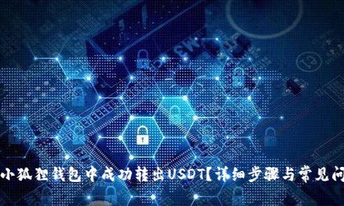 如何在小狐狸钱包中成功转出USDT？详细步骤与常见问题解答