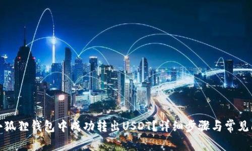 如何在小狐狸钱包中成功转出USDT？详细步骤与常见问题解答