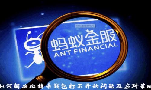 
如何解决比特币钱包打不开的问题及应对策略