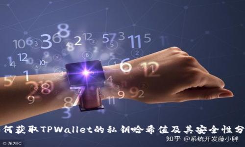 如何获取TPWallet的私钥哈希值及其安全性分析