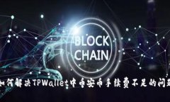 如何解决TPWallet中币安币手