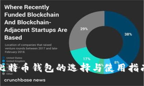 比特币钱包的选择与使用指南