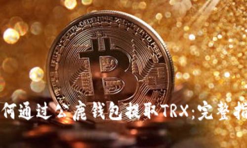 如何通过公鹿钱包提取TRX:完整指南