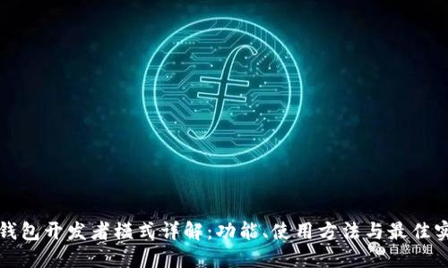 TP钱包开发者模式详解：功能、使用方法与最佳实践