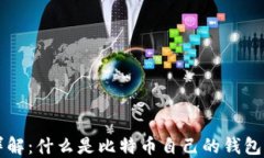 比特币钱包详解：什么是