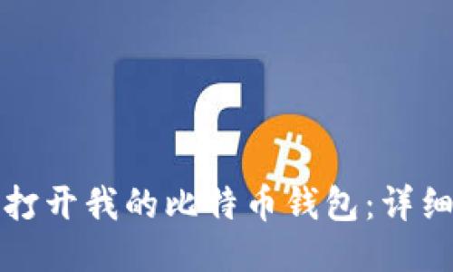 如何打开我的比特币钱包：详细指南