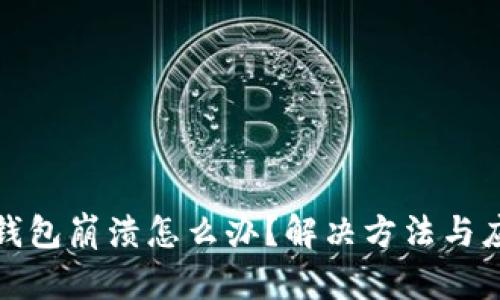 狗狗币钱包崩溃怎么办？解决方法与应对措施