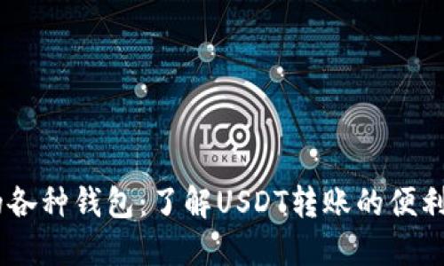 USDT支持的各种钱包：了解USDT转账的便利性与安全性