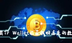 重新下载TP Wallet能否找回丢失的数字货币？