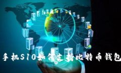 三星手机S10如何支持比特