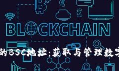 TPWallet中的BSC地址：获取与管理数字资产的指南