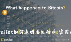 tpwallet如何追回丢失的币：实用指南