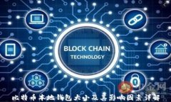 比特币本地钱包大小及其