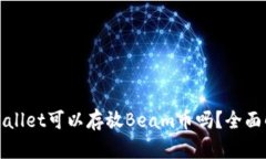 tpWallet可以存放Beam币吗？全面解析